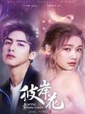 CHH1171 : Beautiful Reborn Flower หยุดรักไว้กลางใจ (ซับไทย) DVD 8 แผ่น