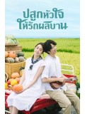CHH1222 : My Goddess ปลูกหัวใจให้รักผลิบาน (พากย์ไทย) DVD 4 แผ่น