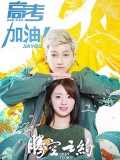 CHH1238 : Swing to the Sky ทะยานสู่ฝัน (ซับไทย) DVD 4 แผ่น