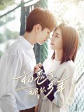 CHH1404 : First Romance กาลครั้งหนึ่งถึงรักแรก (2020) (พากย์ไทย) DVD 4 แผ่น