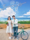 CHH1411 : Summer Again ฤดูร้อนย้อนวัยรัก (2021) (ซับไทย) DVD 3 แผ่น