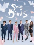 CHH1441 : Stray Birds อลวนคนไอที (2021) (ซับไทย) DVD 7 แผ่น