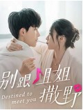 CHH1566 : Destined to Meet You เดสทินี รักนี้พี่ขอ (2022) (2ภาษา) DVD 2 แผ่น