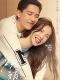 CHH1648 : Falling into You ก้าวนี้เพื่อเธอ (2022) (ซับไทย) DVD 4 แผ่น