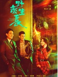 CHH1669 : Wild Bloom เติบโตอย่างหญิงแกร่ง (2022) (ซับไทย) DVD 6 แผ่น