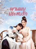 CHH1793 : Love Is an Accident พานพบประสบรัก (2023) (2ภาษา) DVD 5 แผ่น