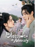 CHH1865 : Blossoms in Adversity ฮวาจื่อ บุปผากลางภัย (2024) (2ภาษา) DVD 7 แผ่น