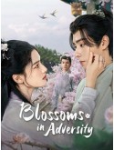 CHH1865 : Blossoms in Adversity ฮวาจื่อ บุปผากลางภัย (2024) (2ภาษา) DVD 7 แผ่น