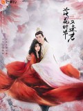 CHH2010 : Love Never Fails พบพานอีกครายามบุปผาโปรยปราย (2025) (ซับไทย) DVD 7 แผ่น