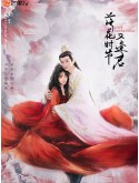 CHH2010 : Love Never Fails พบพานอีกครายามบุปผาโปรยปราย (2025) (ซับไทย) DVD 7 แผ่น