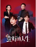 CHH2022 : A Better Life (2025) (ซับไทย) DVD 6 แผ่น