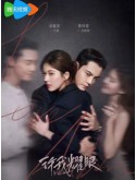 CHH2053 : Love's Ambition เกมรักในเงาลวง (2025) (ซับไทย) DVD 6 แผ่น
