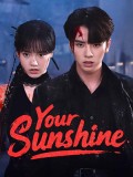 CHH2092 : Your Sunshine เพลิงรักเพลิงตะวัน (2025) (2ภาษา) DVD 3 แผ่น