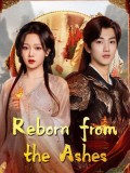 CHH2112 : Reborn from the Ashes เงาจันทร์ไร้ธุลี (2025) (ซับไทย) DVD 3 แผ่น