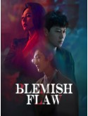 CHH2136 : Blemish Flaw (2025) (พากย์ไทย) DVD 3 แผ่น