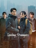 CHH2213 : Loving Strangers เหมันต์ใต้หิมะแรก (2026) (ซับไทย) DVD 4 แผ่น