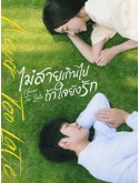 CHH2236 : Never Too Late ไม่สายเกินไปถ้าใจยังรัก (2023) (พากย์ไทย) DVD 3 แผ่น