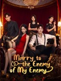CHH2266 : Marry to the Enemy of my Enemy ด้วยรักจากดวงตะวัน (2025) (2ภาษา) DVD 2 แผ่น