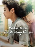 CHH2300 : Wishing Upon the Shooting Stars คำอธิษฐานใต้ดวงดาว (2026) (ซับไทย) DVD 2 แผ่น