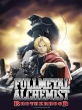 ct0265 : การ์ตูน Fullmetal Alchemist: Brotherhood แขนกล คนแปรธาตุ DVD 16 แผ่น