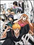 ct1306 : การ์ตูน Bleach เทพมรณะ Vol.17-19 จบ [พากย์ไทย] DVD 3 แผ่น