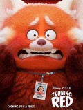 ct1405 : การ์ตูน Turning Red เขินแรงแดงเป็นแพนด้า (2022) DVD 1 แผ่น