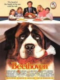 EE0303 : Beethoven บีโธเฟน ชื่อหมาแต่ไม่ใช่หมา (1992) DVD 1 แผ่น