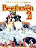 EE0304 : Beethoven s 2nd บีโธเฟน ชื่อหมาแต่ไม่ใช่หมา 2 (1993) DVD 1 แผ่น