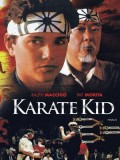 EE0603 : The Karate Kid Part 1 (1984) (ซับไทย) DVD 1 แผ่น