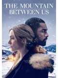 EE2528 : The Mountain Between Us DVD 1 แผ่น