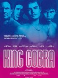 EE2562 : King Cobra คิงคอบร้า เปลื้องผ้าให้ฉาวโลก DVD 1 แผ่น