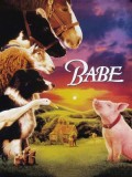 EE2567 : Babe เบ๊บ หมูน้อยหัวใจเทวดา (1995) DVD 1 แผ่น