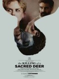 EE2579 : The Killing of a Sacred Deer เจ็บแทนได้ไหม DVD 1 แผ่น