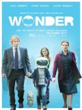 EE2599 : Wonder ชีวิตมหัศจรรย์วันเดอร์ DVD 1 แผ่น