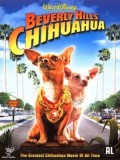 EE2701 : Beverly Hills Chihuahua คุณหมาไฮโซ โกบ้านนอก DVD 1 แผ่น