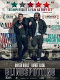 EE3031 : Blindspotting ที่นี่...ประเทศไหน DVD 1 แผ่น