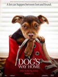 EE3232 : A Dog's Way Home เพื่อนรักผจญภัยสี่ร้อยไมล์ (2019) (ซับไทย) DVD 1 แผ่น
