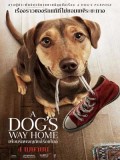 EE3279 : A Dog's Way Home เพื่อนรักผจญภัยสี่ร้อยไมล์ (2019) DVD 1 แผ่น