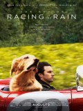 EE3378 : The Art of Racing in the Rain อุ่นไอหัวใจตูบ (2019) DVD 1 แผ่น