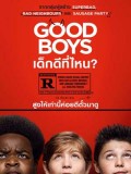 EE3385 : Good Boys เด็กดีที่ไหน? DVD 1 แผ่น