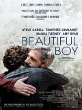EE3409 : Beautiful Boy แด่ลูกชายสุดที่รัก (2018) DVD 1 แผ่น