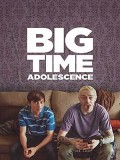 EE3527 : Big Time Adolescence (2019) DVD 1 แผ่น