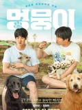 km199 : ซีรีย์เกาหลี My Heart Puppy (2023) DVD 1 แผ่น