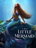 EE3733 : The Little Mermaid เงือกน้อยผจญภัย (2023) DVD 1 แผ่น