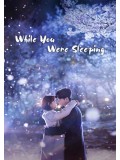 krr1558 : ซีรีย์เกาหลี While You Were Sleeping (ซับไทย) DVD 4 แผ่น