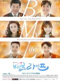 krr1609 : ซีรีย์เกาหลี Bravo My Life (ซับไทย) DVD 6 แผ่น