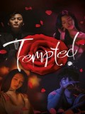 krr1616 : ซีรีย์เกาหลี Tempted (The Great Tempter) (ซับไทย) DVD 4 แผ่น