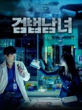 krr1653 : ซีรีย์เกาหลี Partners for Justice (Investigation Couple) (ซับไทย) DVD 4 แผ่น