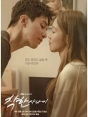 krr2484 : ซีรีย์เกาหลี The Nice Guy ผู้ชายซ่อนคม (2025) (2ภาษา) DVD 4 แผ่น