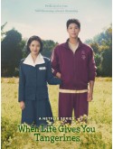 krr2528 : ซีรีย์เกาหลี When Life Gives You Tangerines ยิ้มไว้ในวันที่ส้มไม่หวาน (2025) (2ภาษา) DVD 4 แผ่น